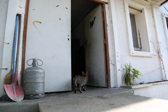 Ateliers Wonder (Erwan Soumhi) — Vue de l'atelier (11/33)