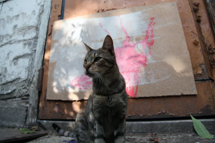 Ateliers Wonder (Erwan Soumhi) — Vue de l'atelier (19/33)
