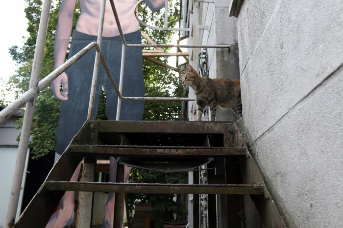 Ateliers Wonder (Erwan Soumhi) — Vue de l'atelier (21/33)