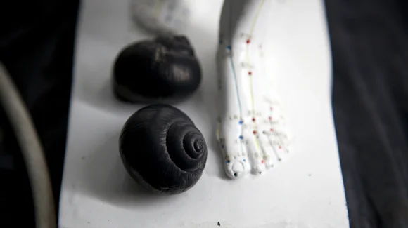 Aperçu CONCEPTUAL ARCHIVE