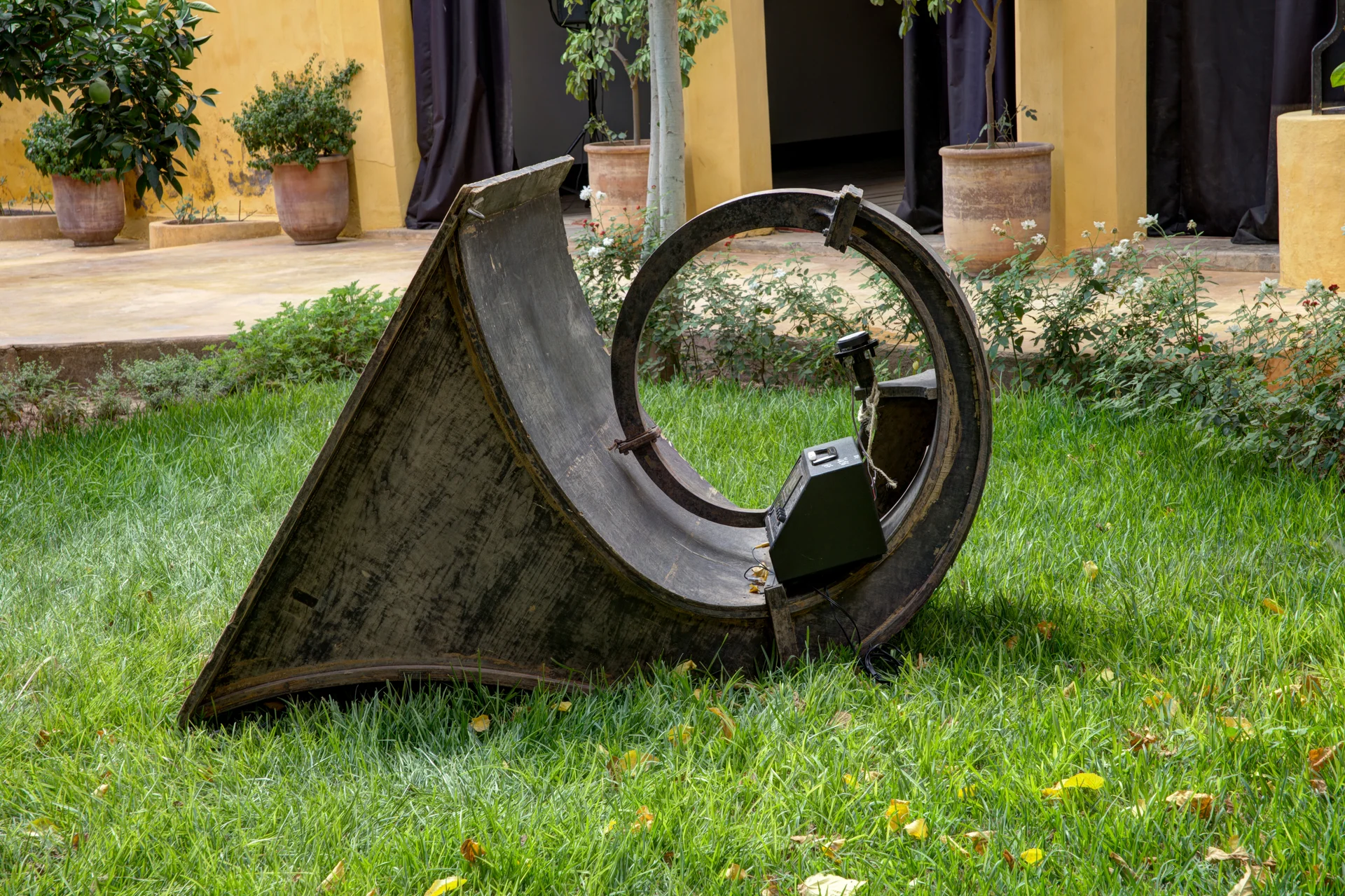 La conque — Photographie 1