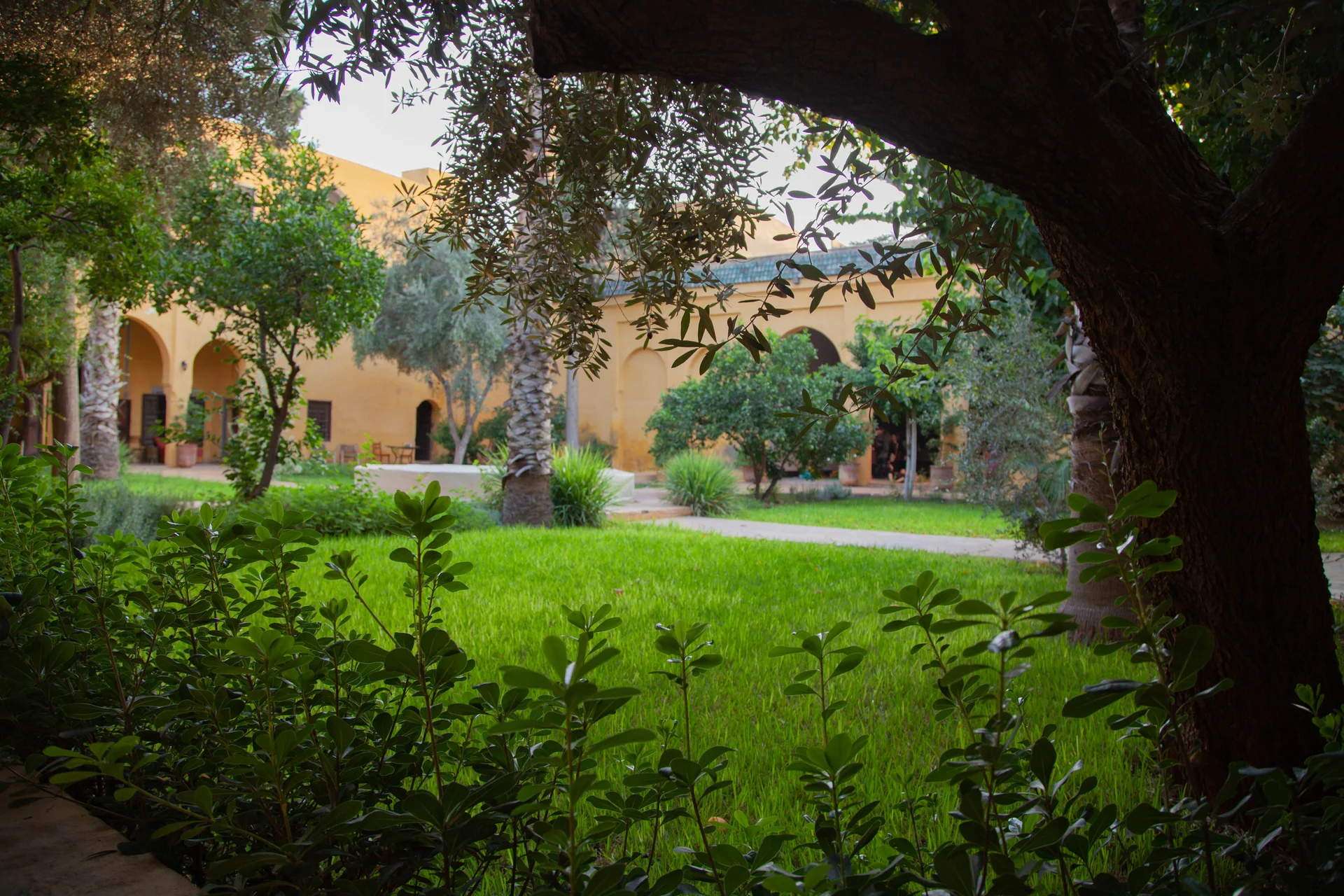 Riad Denise Masson — Cour intérieure