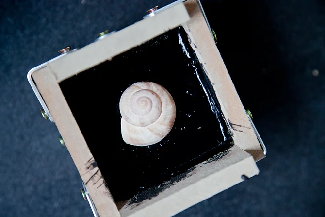 Œuvre laboratoire fugologique par l'artiste Erwan Soumhi — Vue 11 sur 17