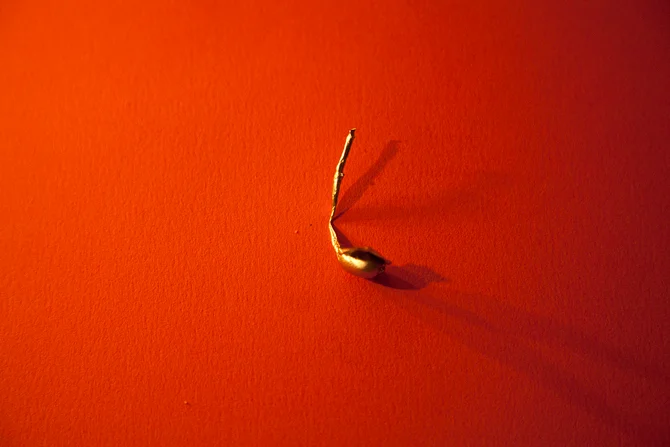 Œuvre Les Poètes Intrigants par l'artiste Erwan Soumhi — Vue 10 sur 15